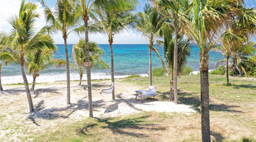 exterior 1-Luffy-track2