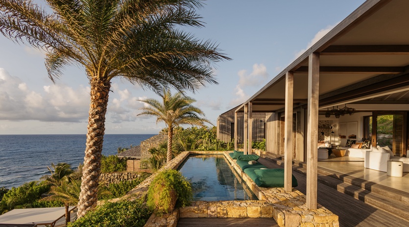 Modern coastal villa with infinity pool overlooking the ocean, surrounded by tropical palms and natural stone details.