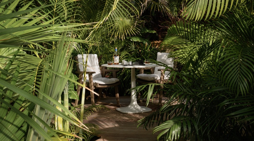 Escape to your private tropical dining nook, where lush palms create an intimate jungle retreat for memorable meals.