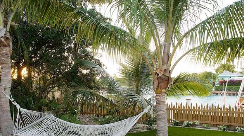 2-Hammock
