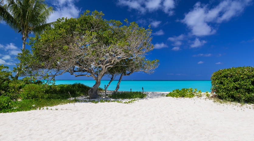 beach-view-sea-breeze-tc-track3