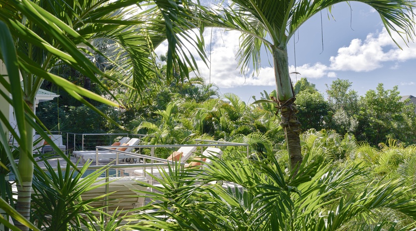 Step into your own tropical paradise surrounded by lush palm trees and vibrant greenery, with a sparkling pool beckoning for refreshing swims.