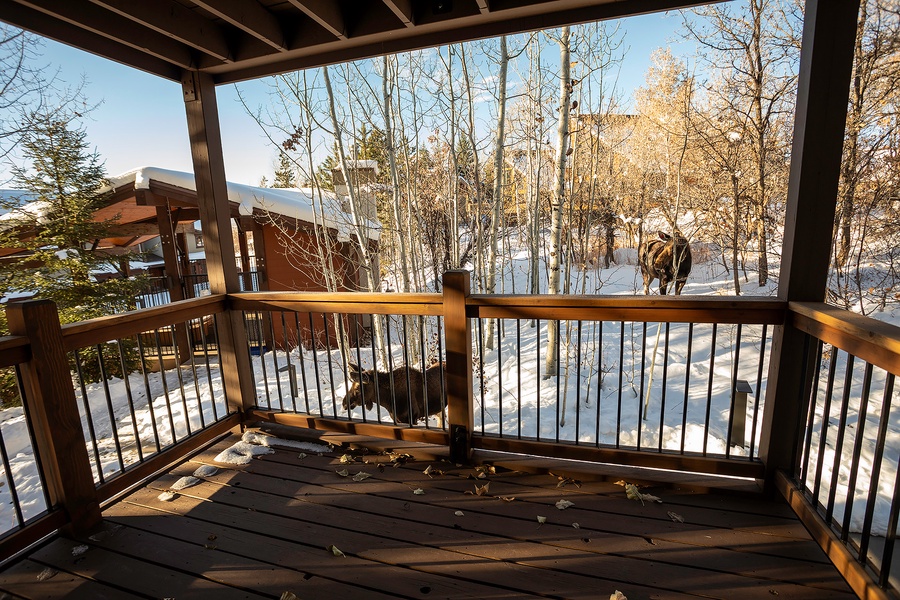 A covered deck overlooks snow-dusted slopes and bare aspen trees with mountain views stretching beyond, framing a peaceful winter scene for the property.