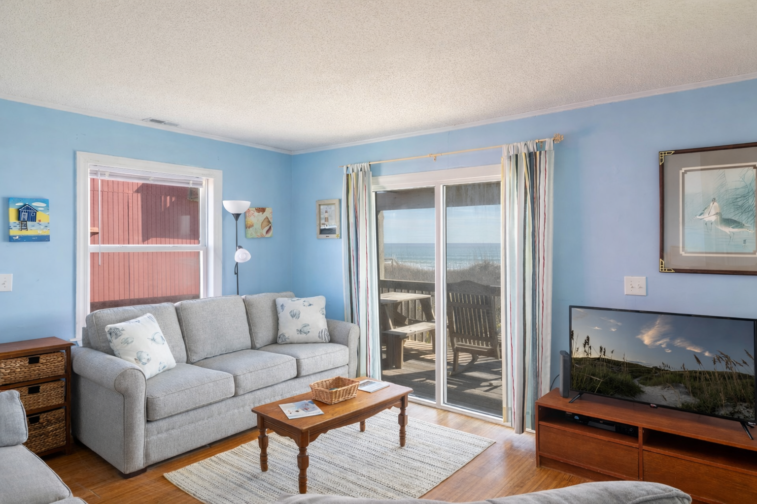 Sassy Seagull East Photo