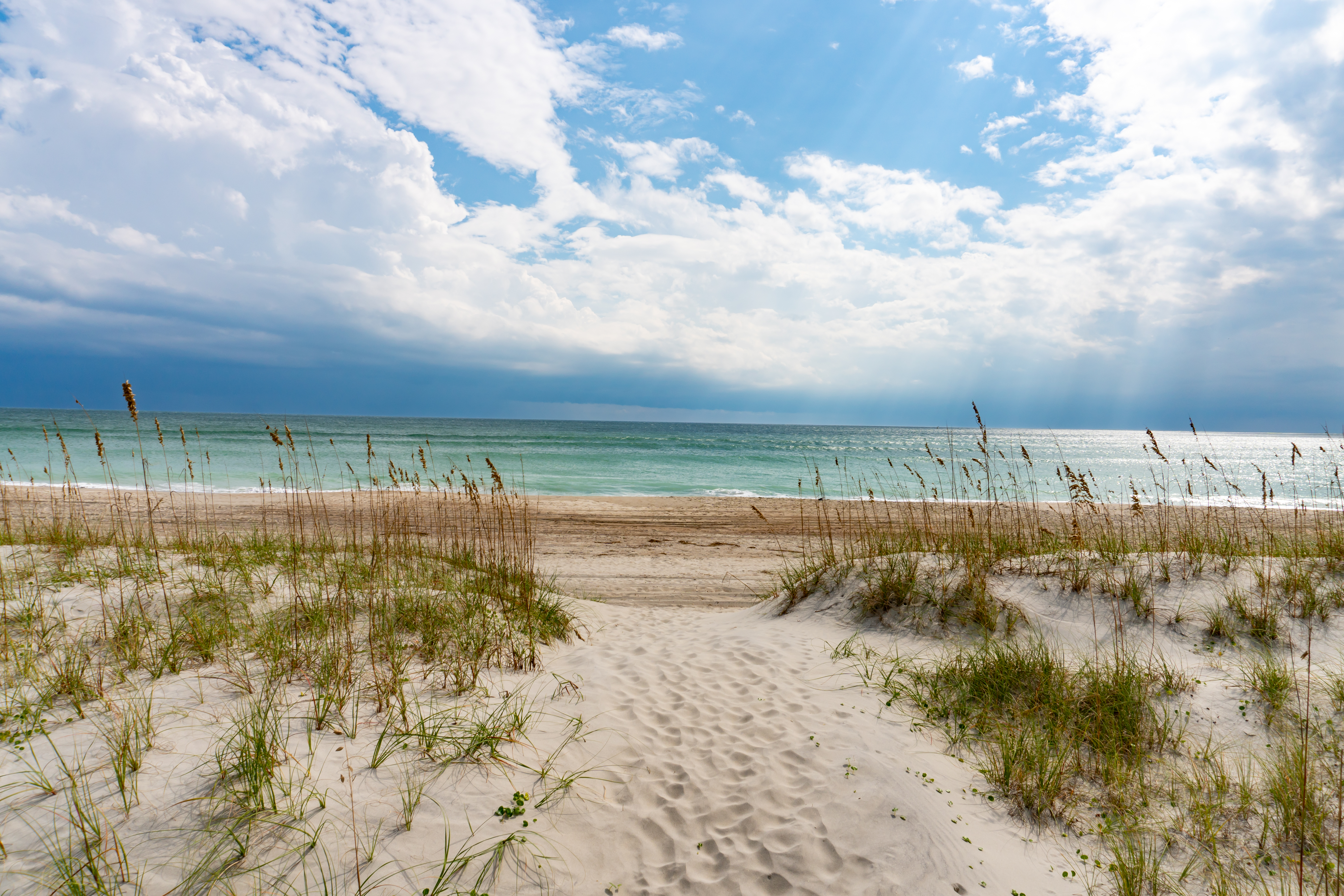 Splash Of Lime West Photo