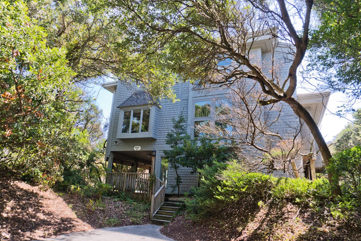 Hunt For The Best Photo