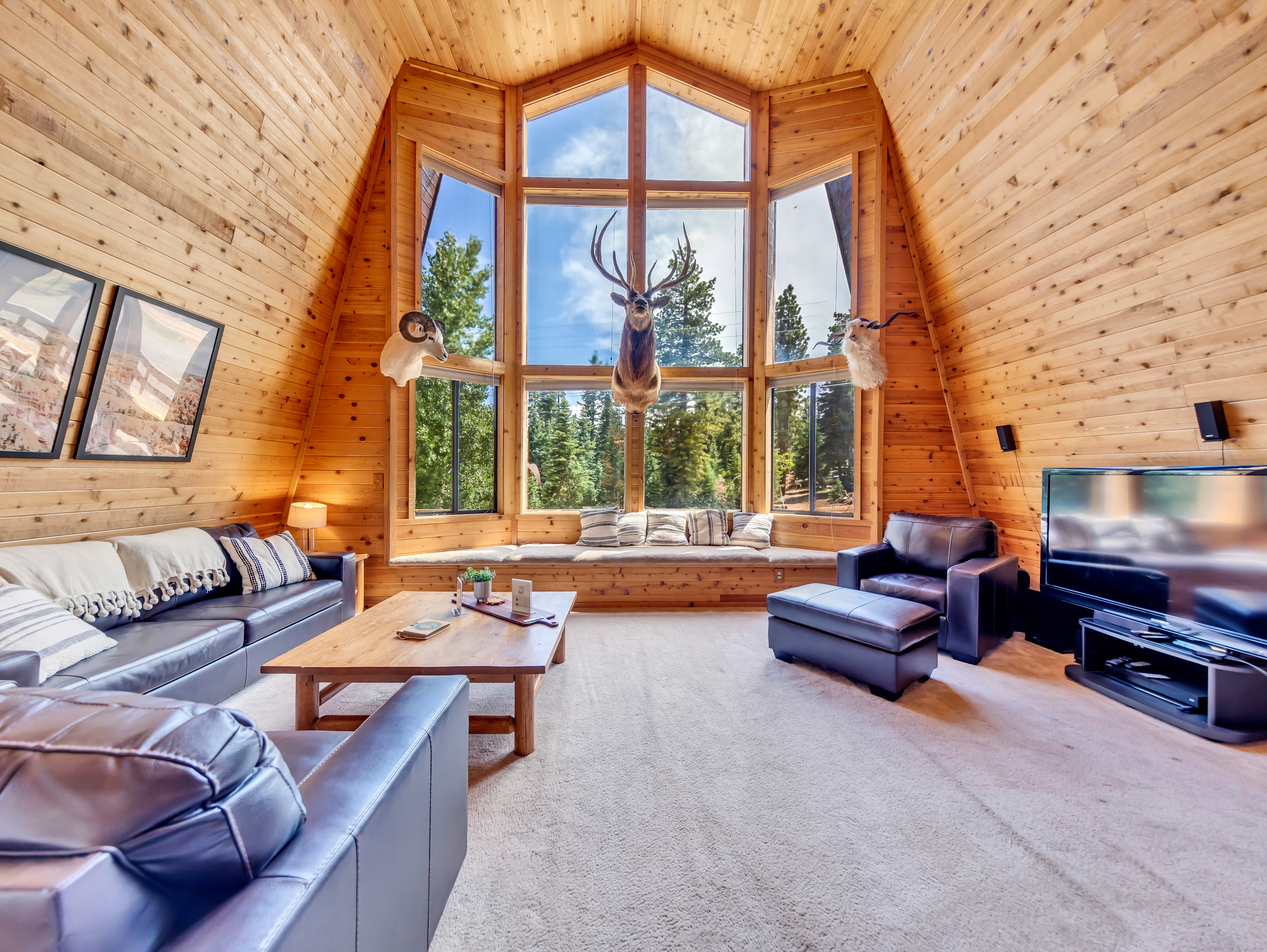 Main-level-living room/Sleeps 2