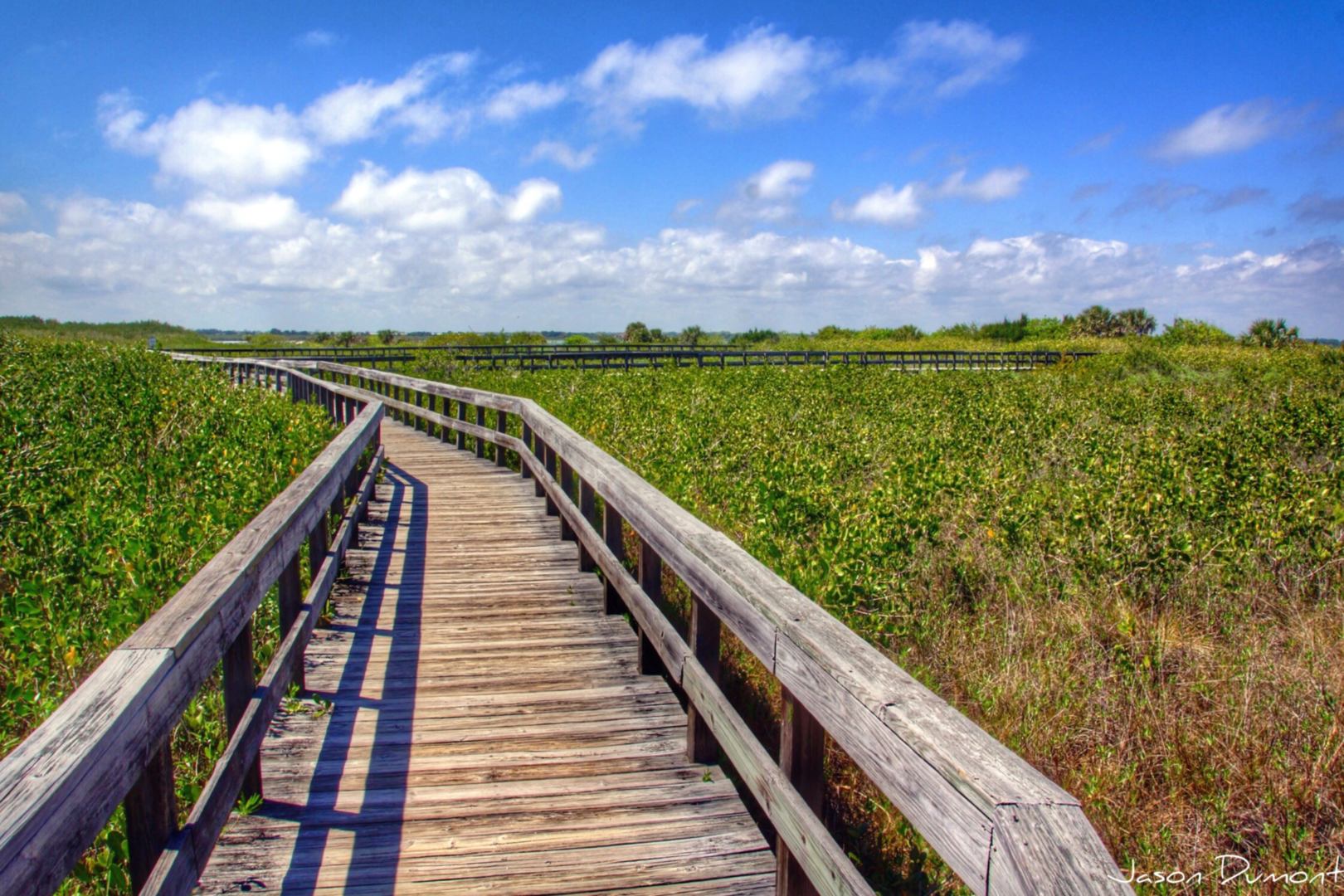 Colony Beach Club 242 – CBC242