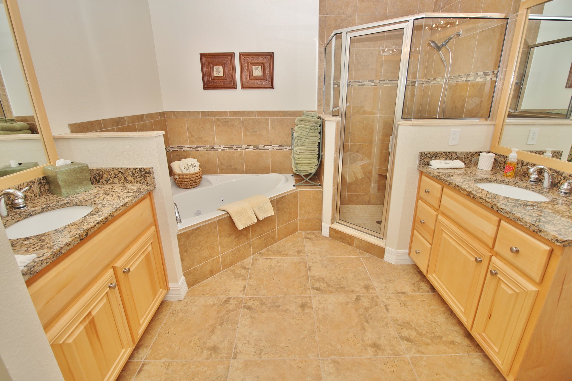 Tub & shower in the primary bathroom