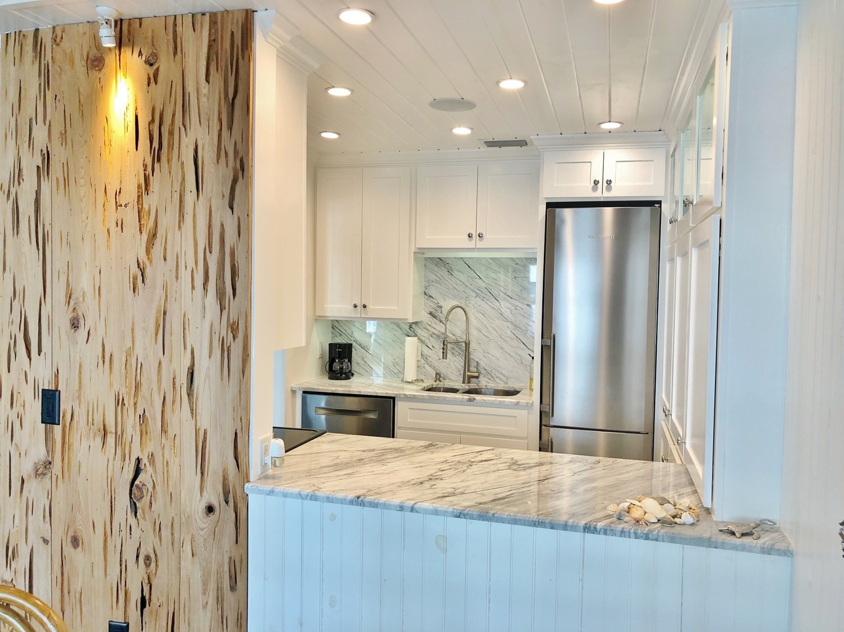 Luxuriously Updated Kitchen