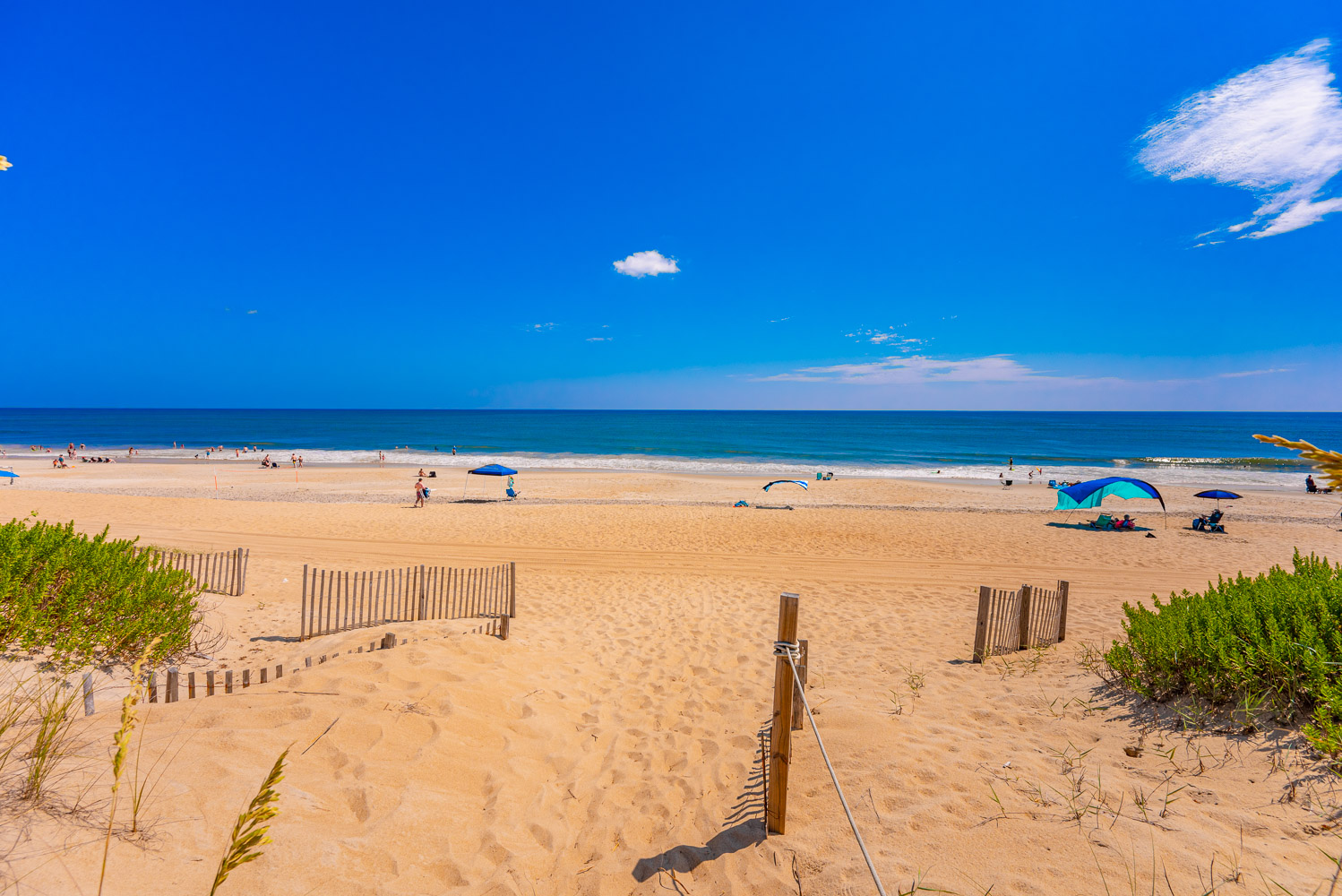 638 | Doc's Cottage 5