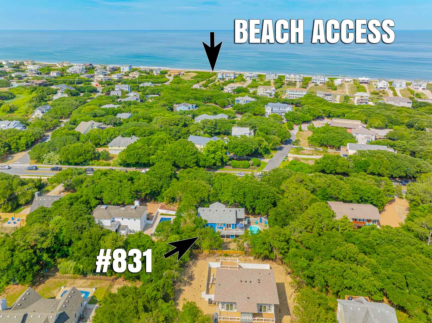 831 | Lion At The Shores 2