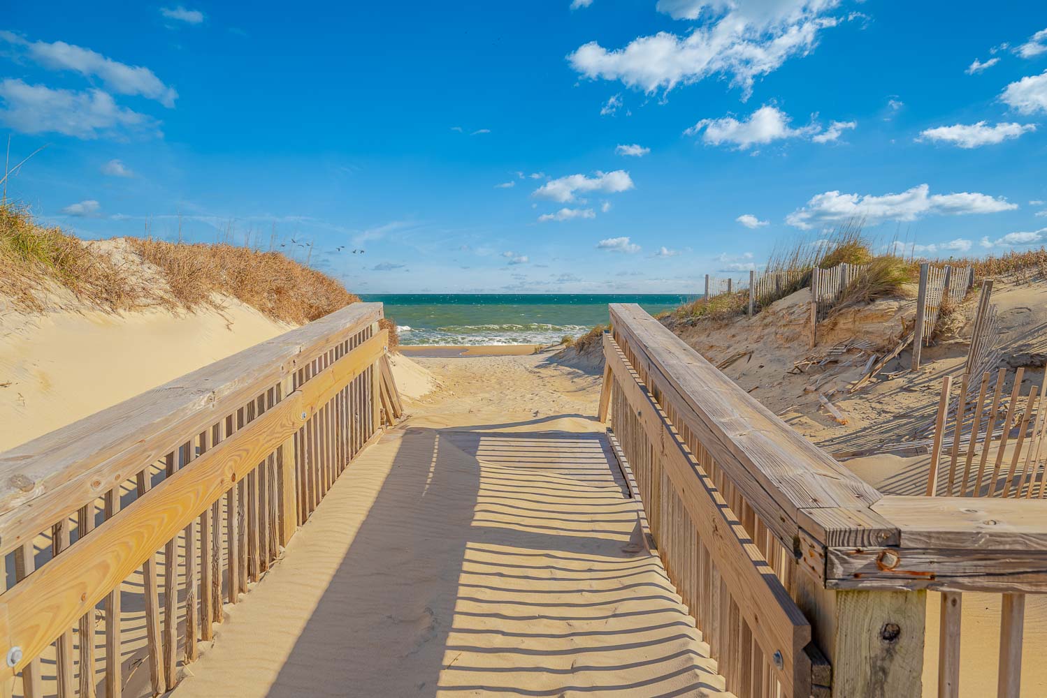 859 | Mt. Hope South 4