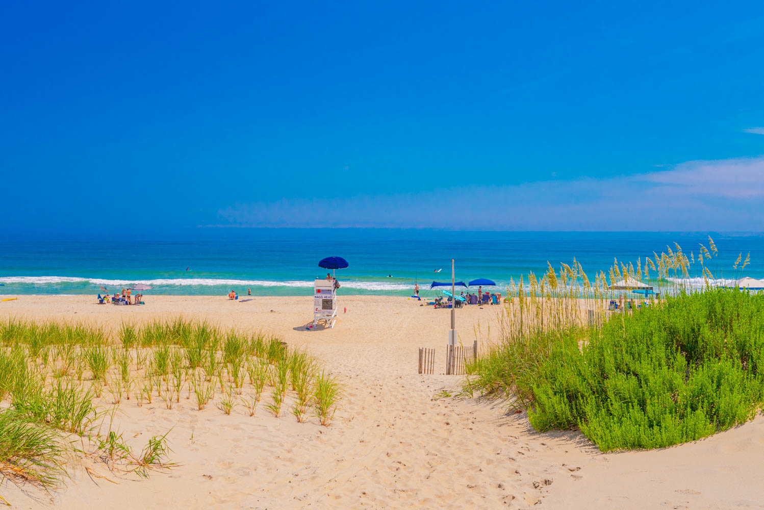 808 | Rogues Harbor 5