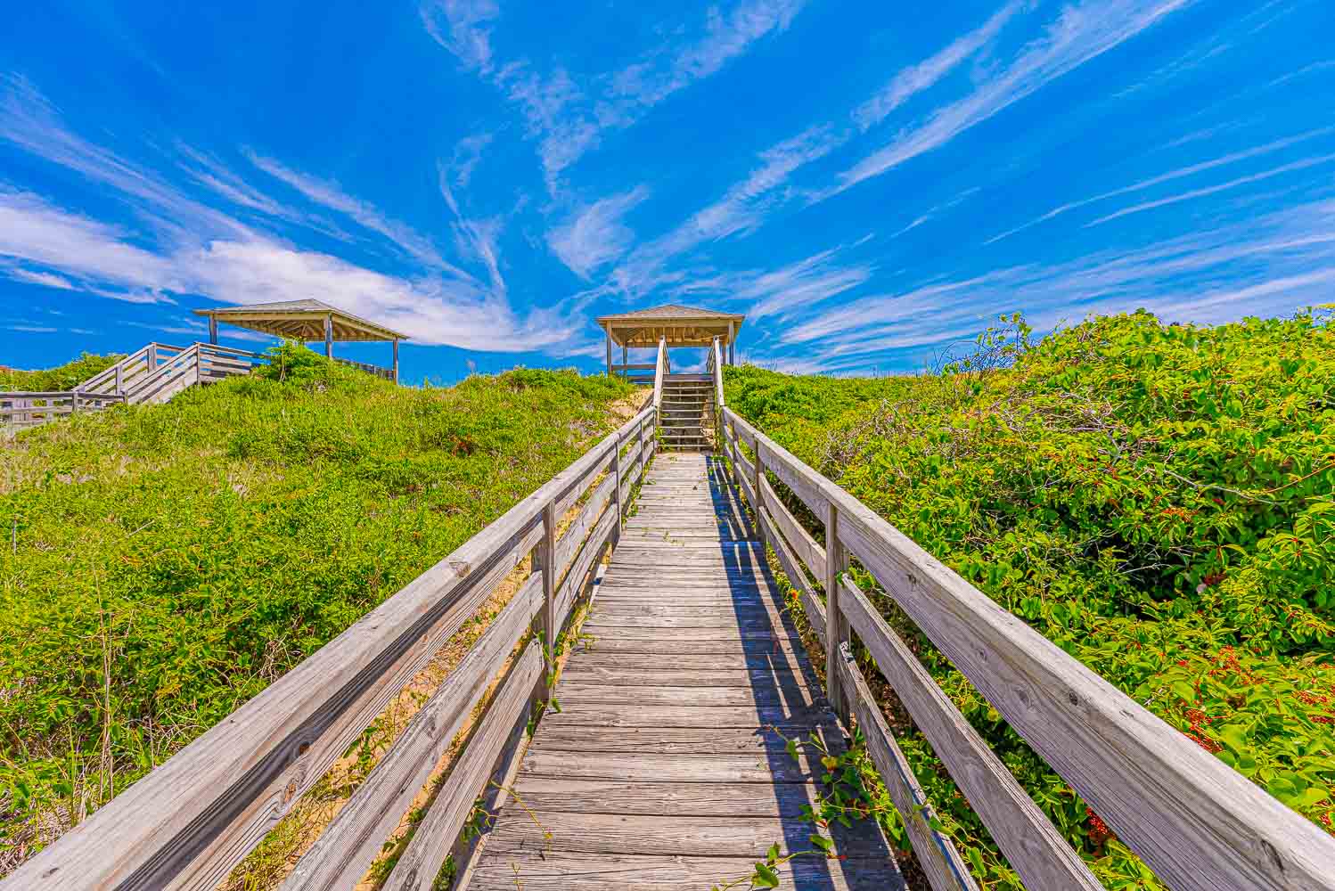 025 | South Wind Delight 5