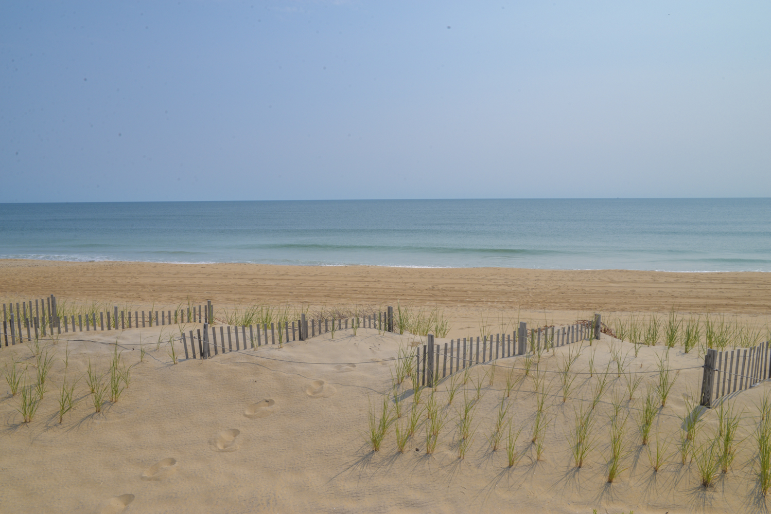 069 | Baum Shelter 5