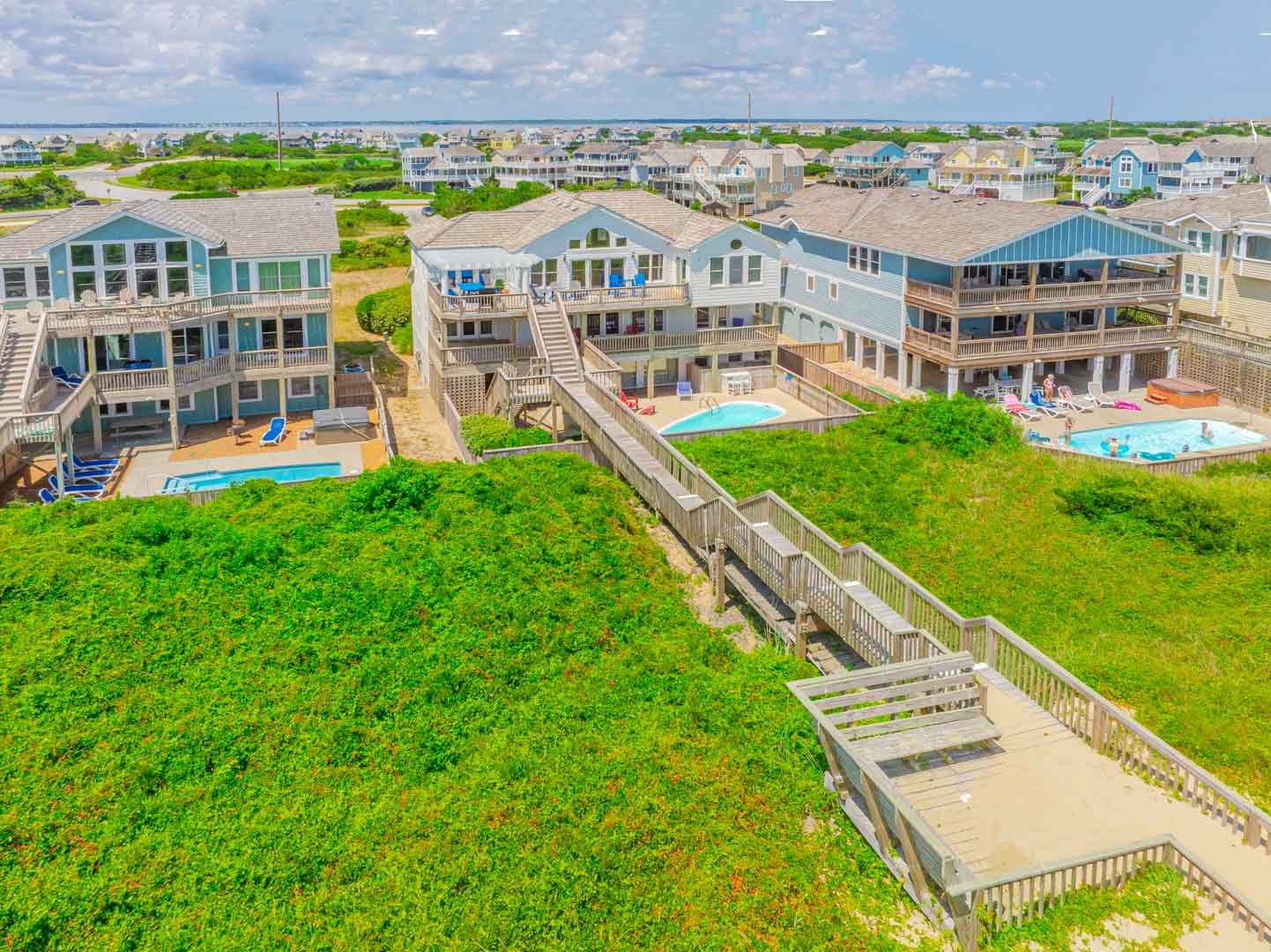 060 | Sassy Seagull 3