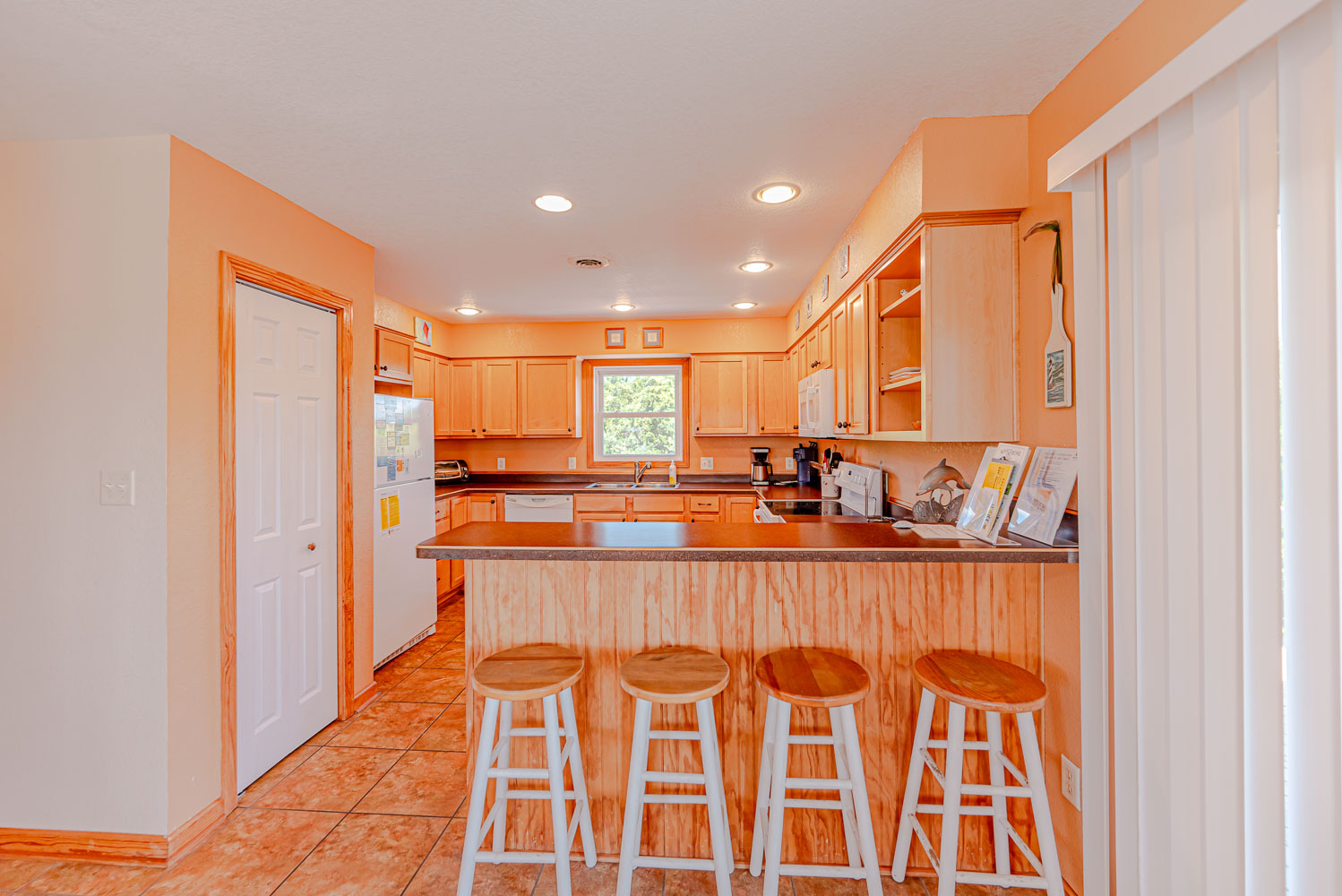 294 | Dolphin Dreams 8