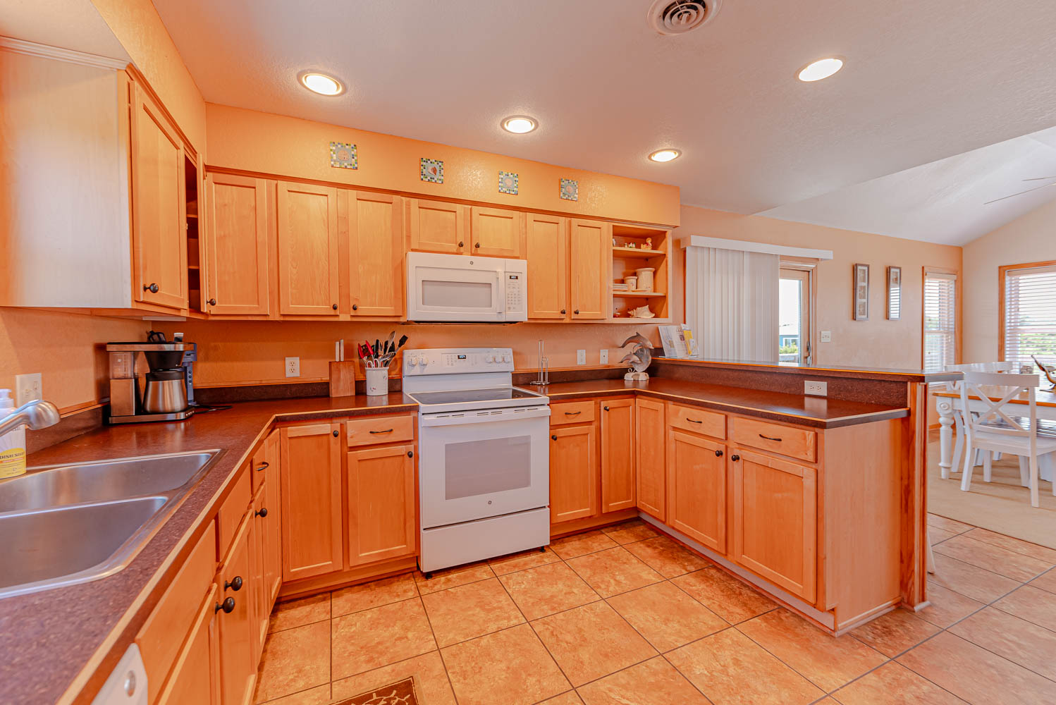 294 | Dolphin Dreams 9