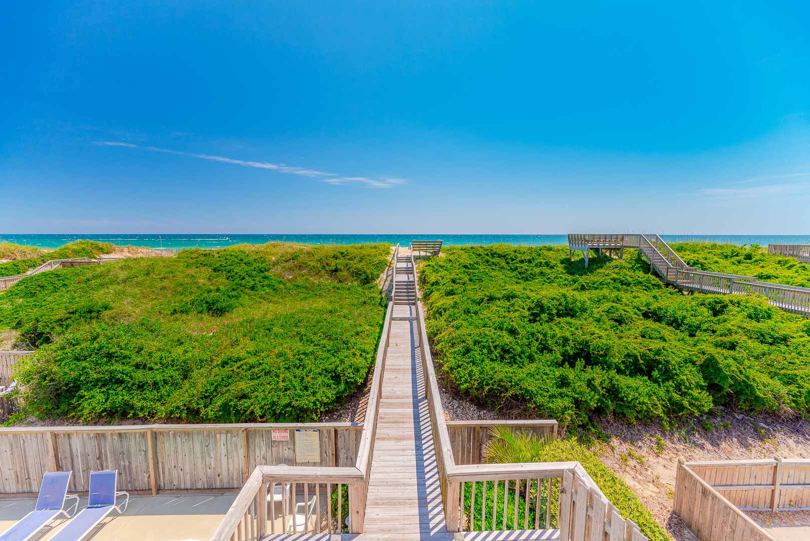 060 | Sassy Seagull 4