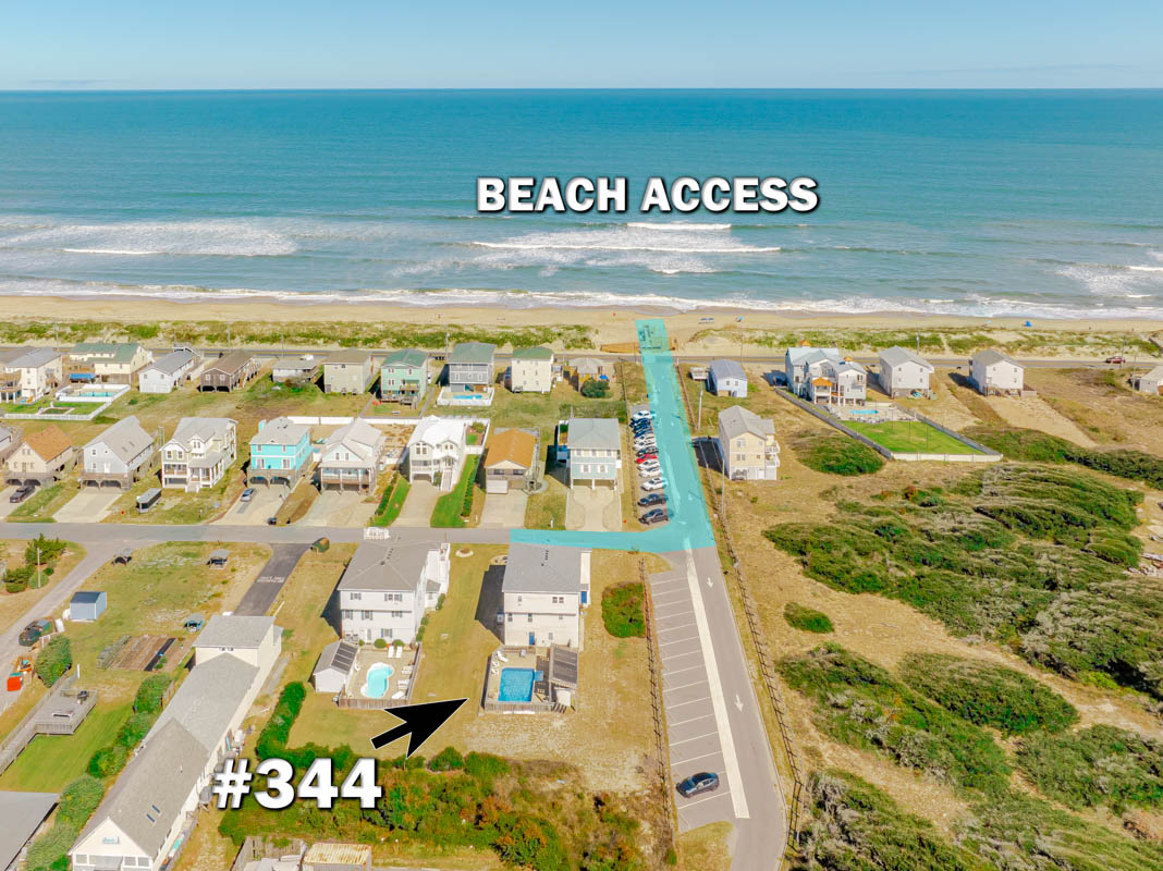 344 | Ocean Butterfly II 2