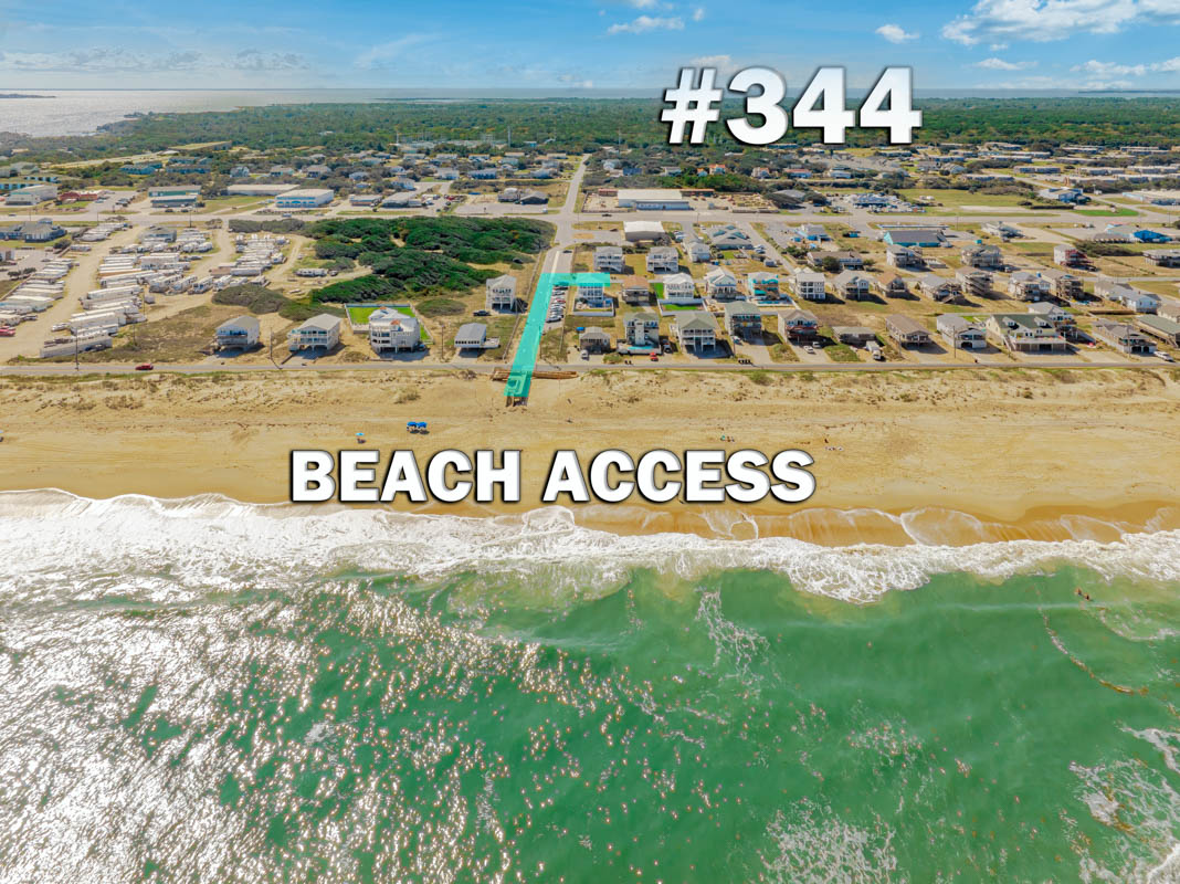 344 | Ocean Butterfly II 4