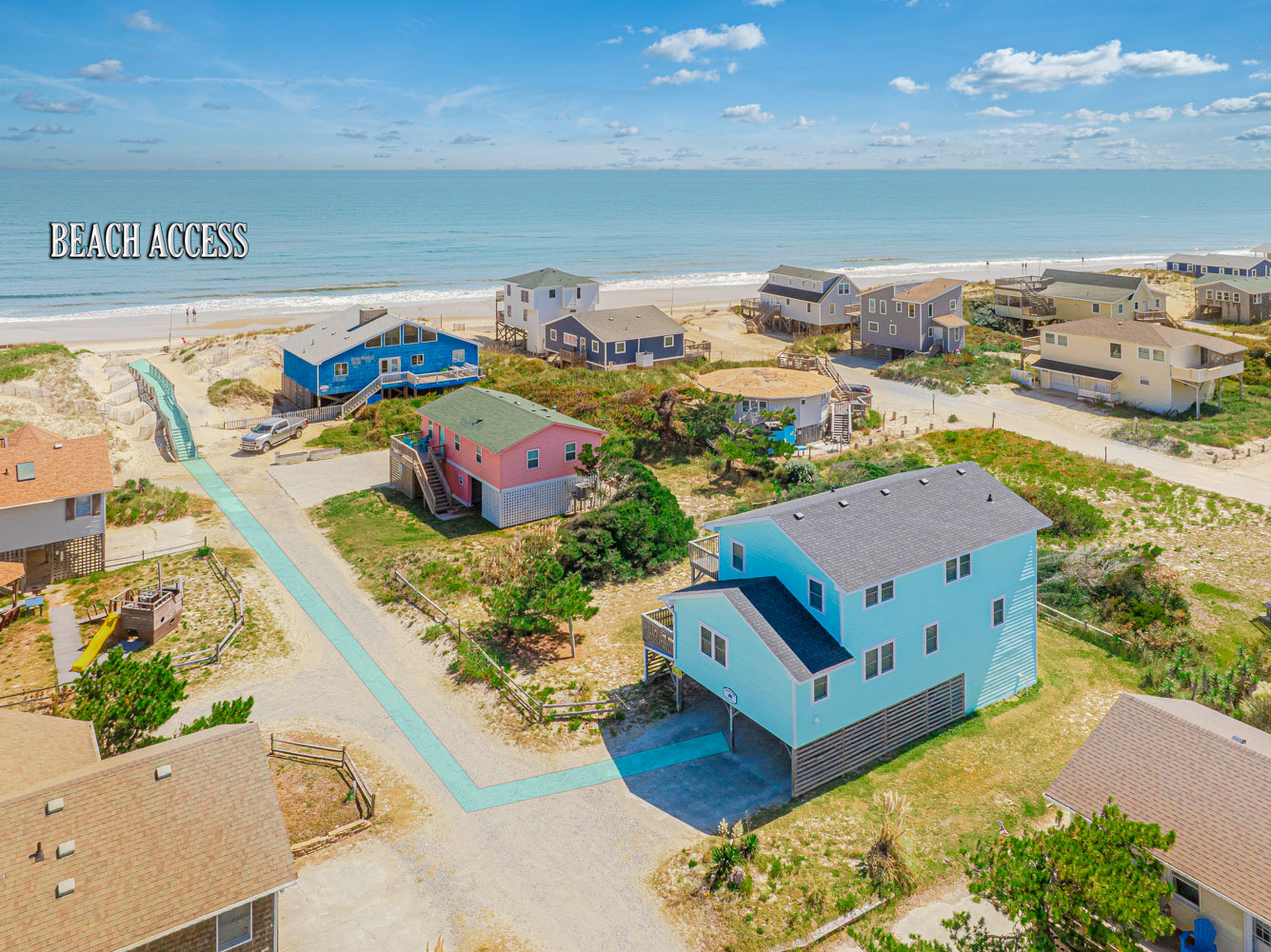 244 | The Teal Turtle