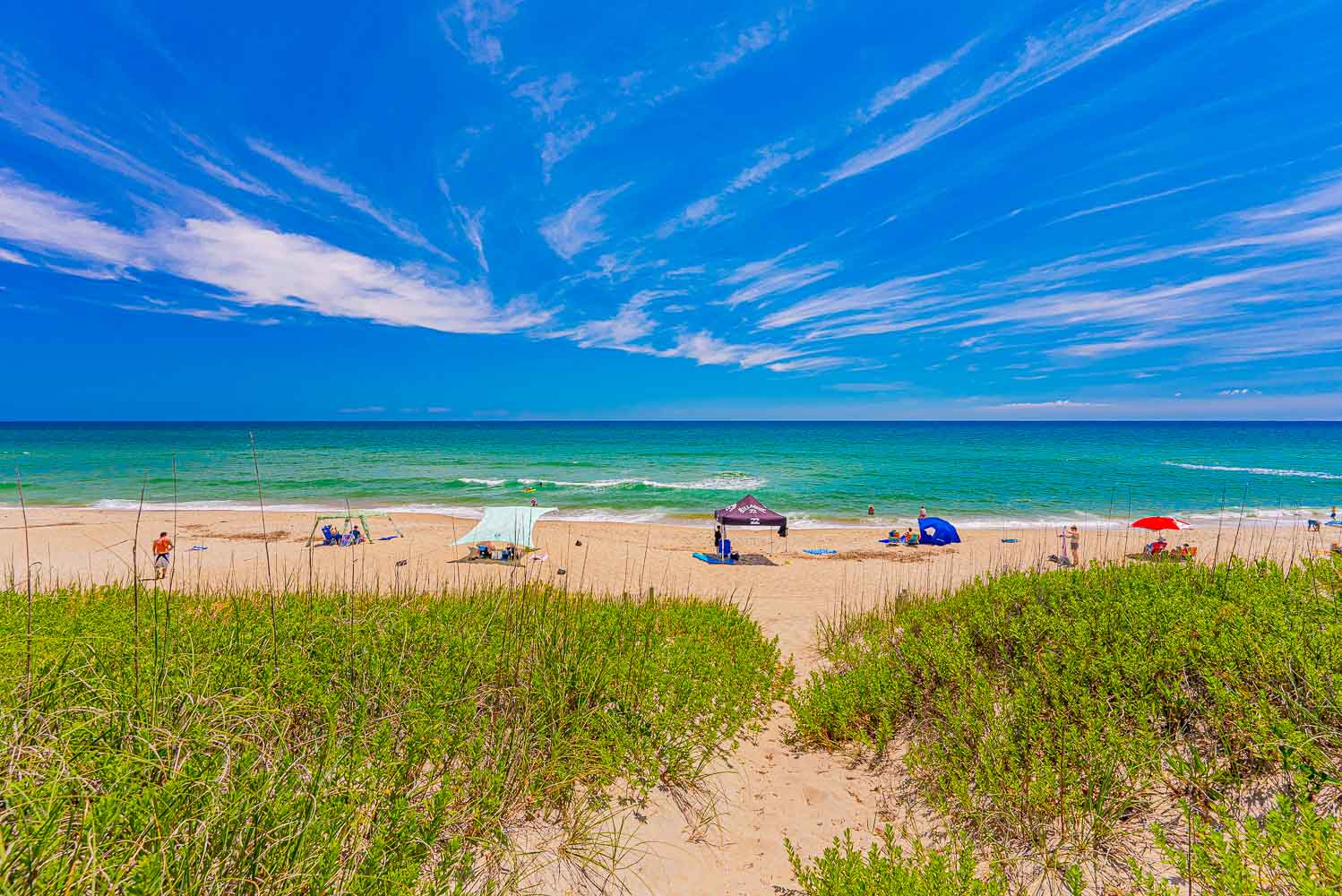 025 | South Wind Delight 6