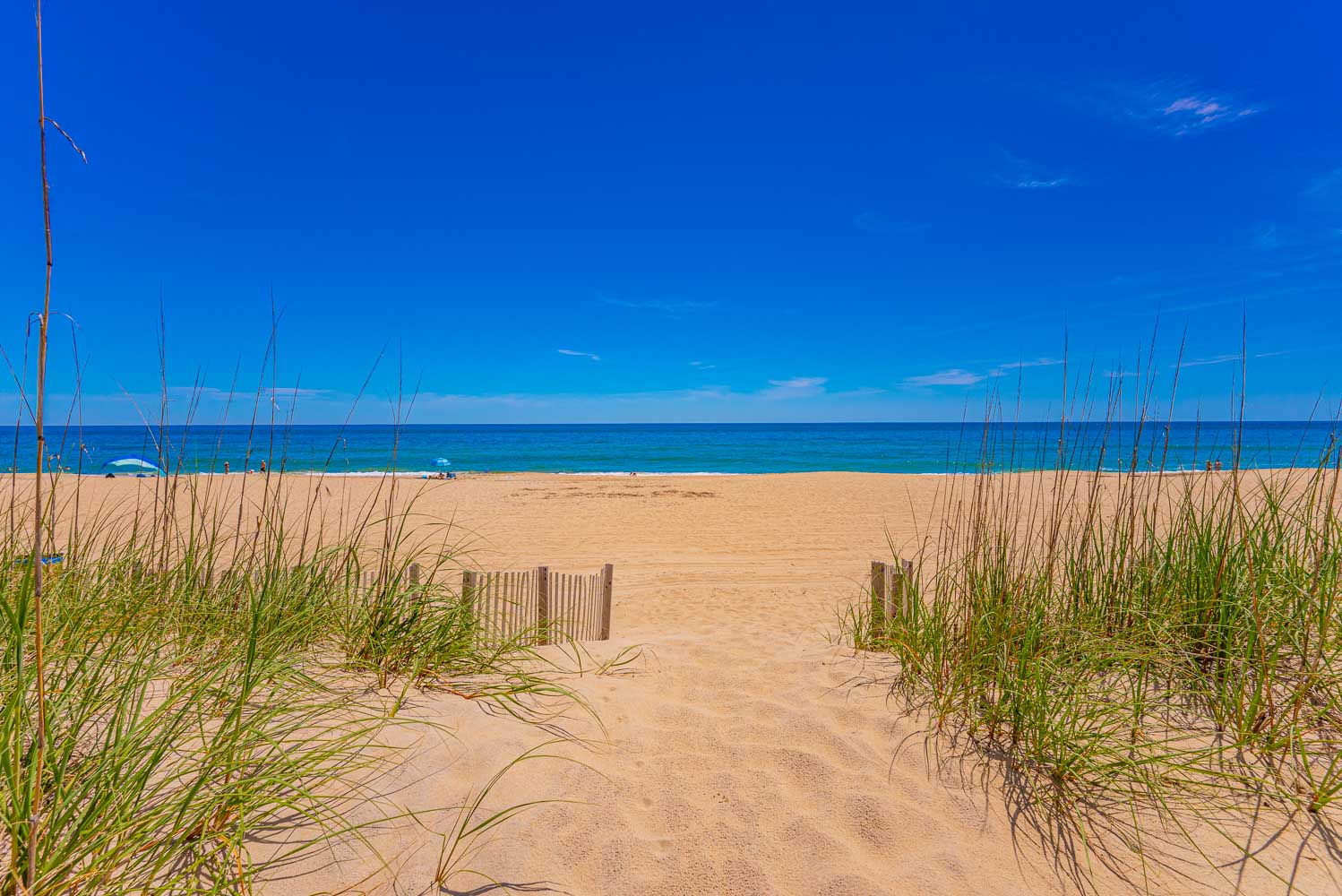 779 | Belle Of The Beach 5