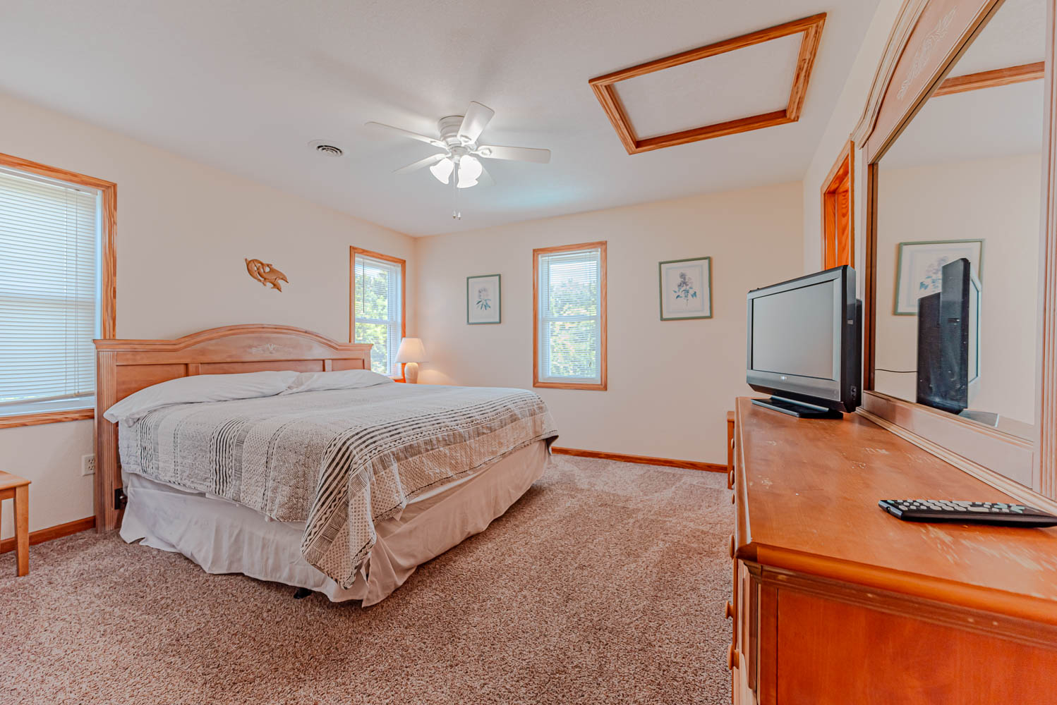 294 | Dolphin Dreams 10