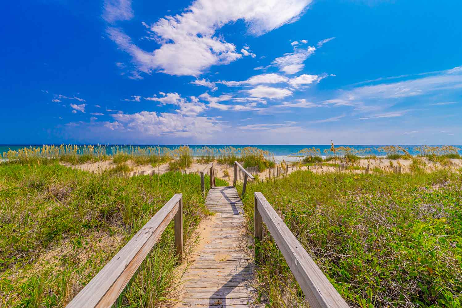 007 | Salty Pirate 4