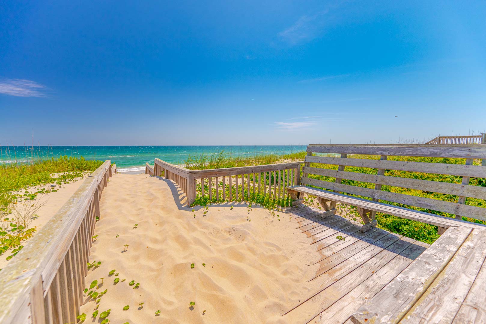 060 | Sassy Seagull 5