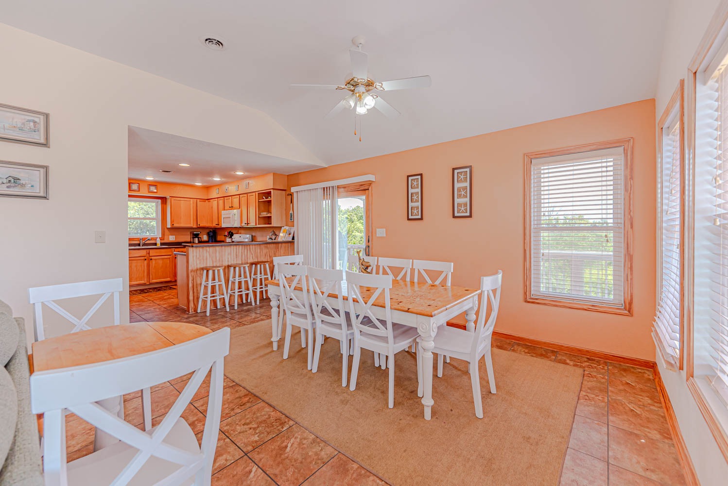 294 | Dolphin Dreams 7