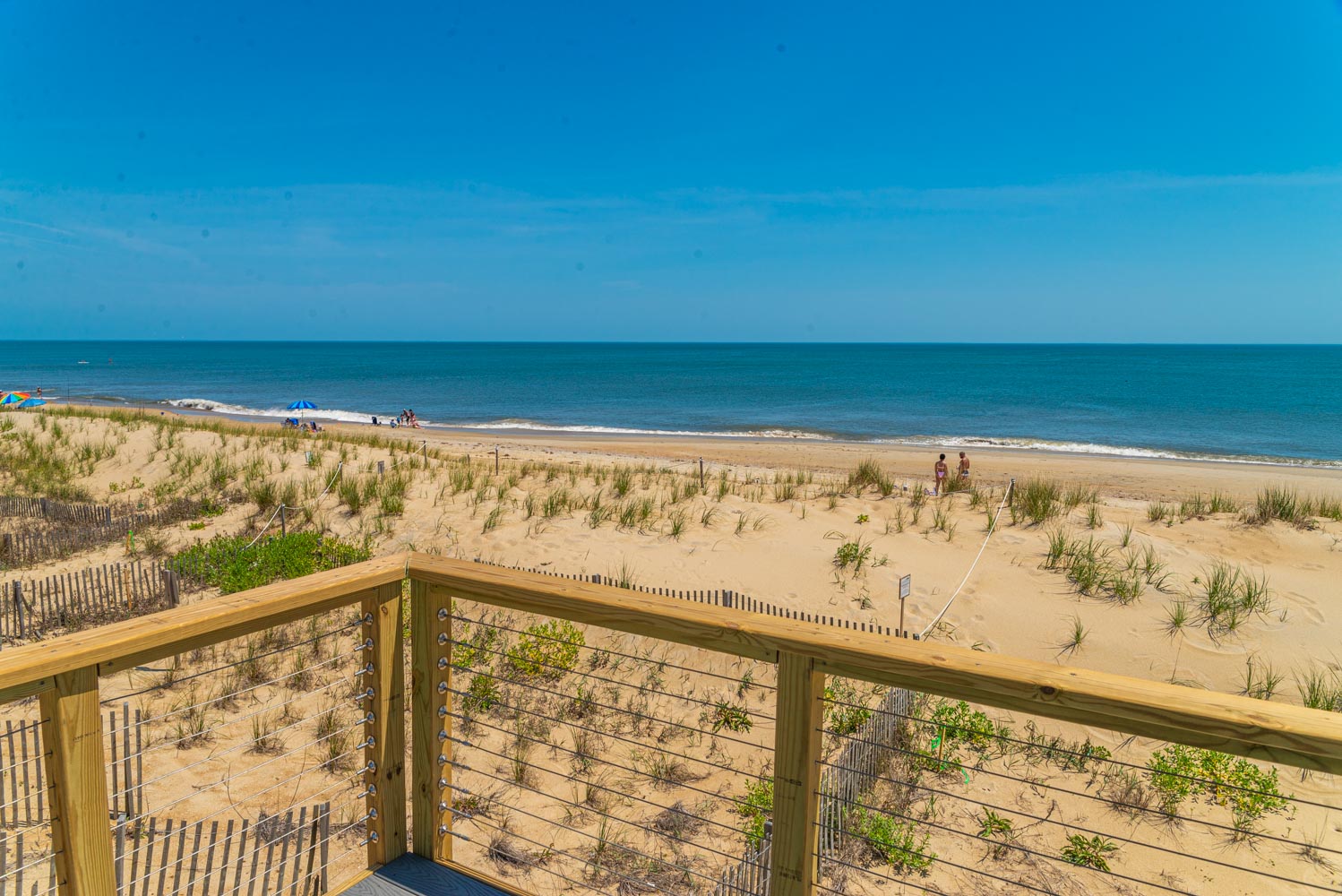 493 | Just to Sea You 3