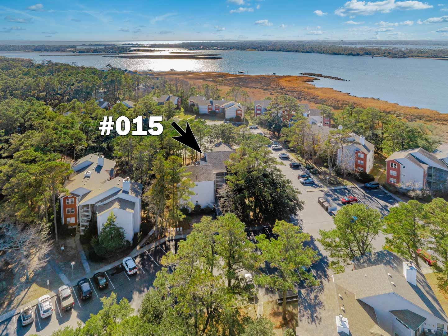 Aerial view of lakefront resort community with waterfront access and wooded surroundings in a peaceful natural setting.