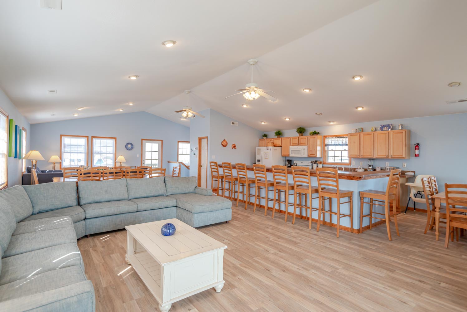 335 | Octopus's Garden 9