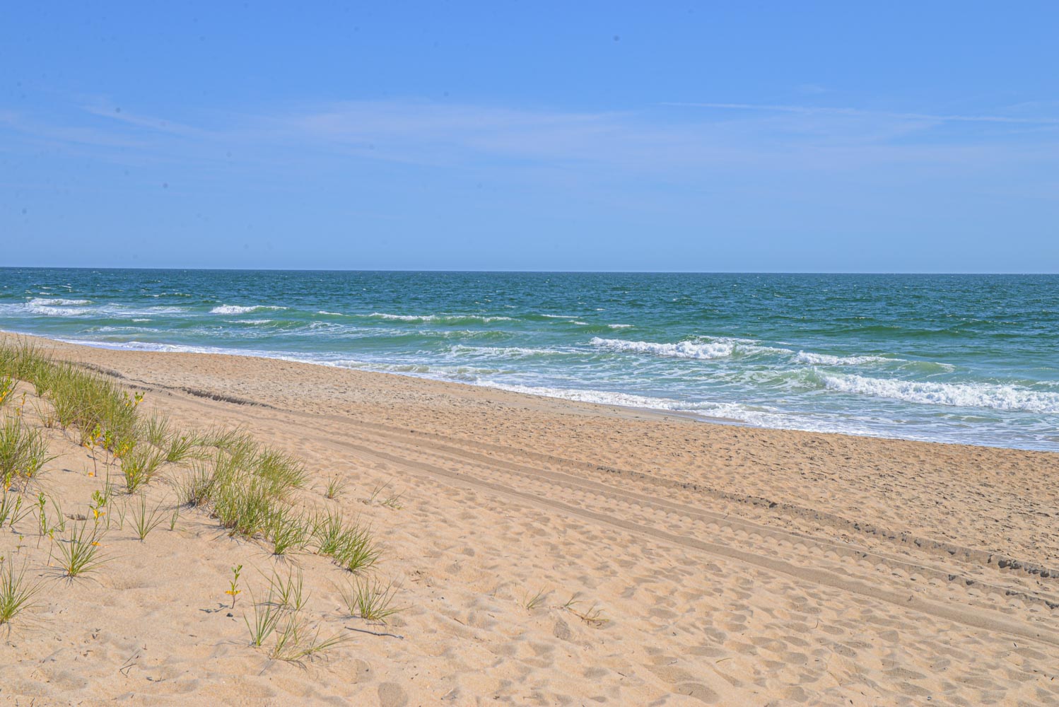 665 | Explorers Oasis 5