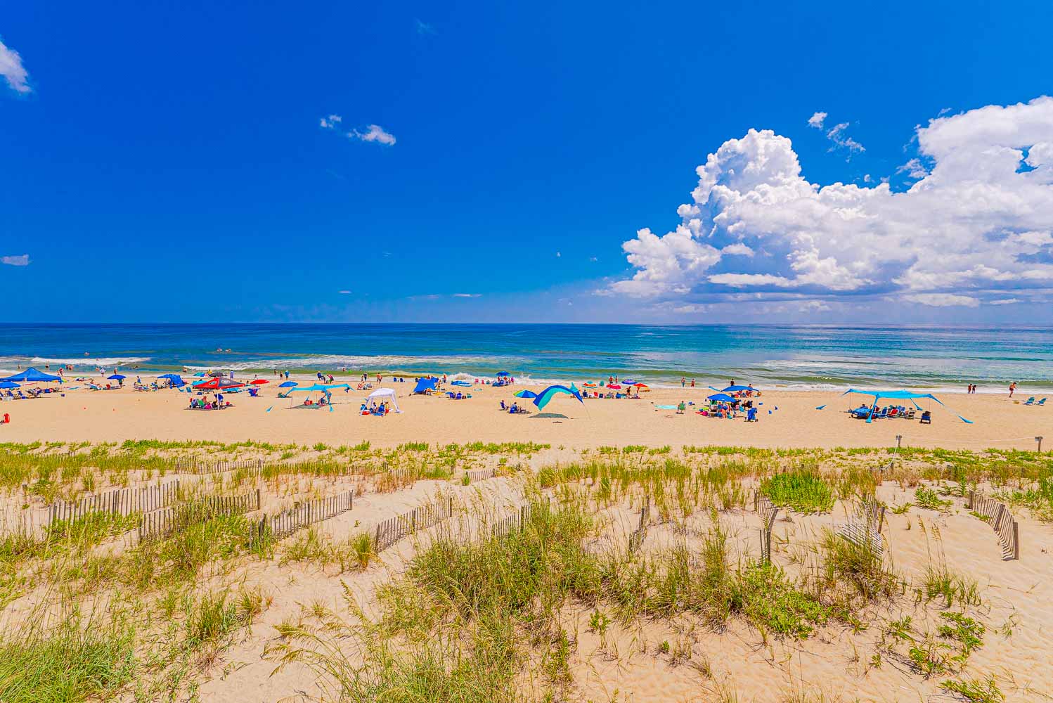 387 | Atlantic Charm 5