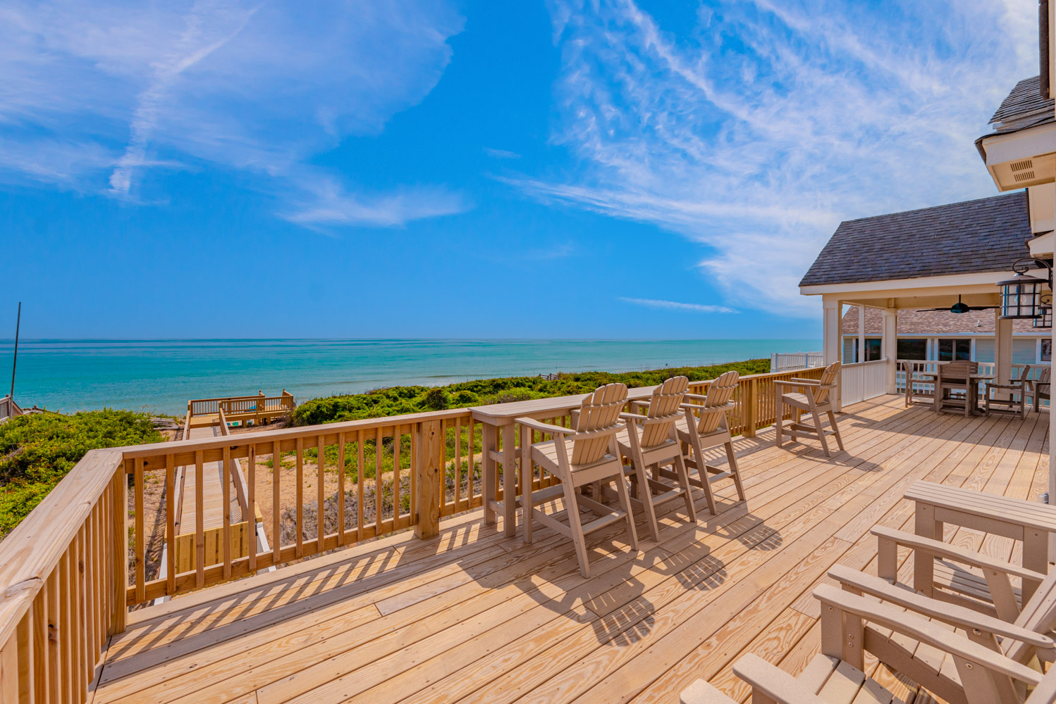 416 | TipSea Turtle 5