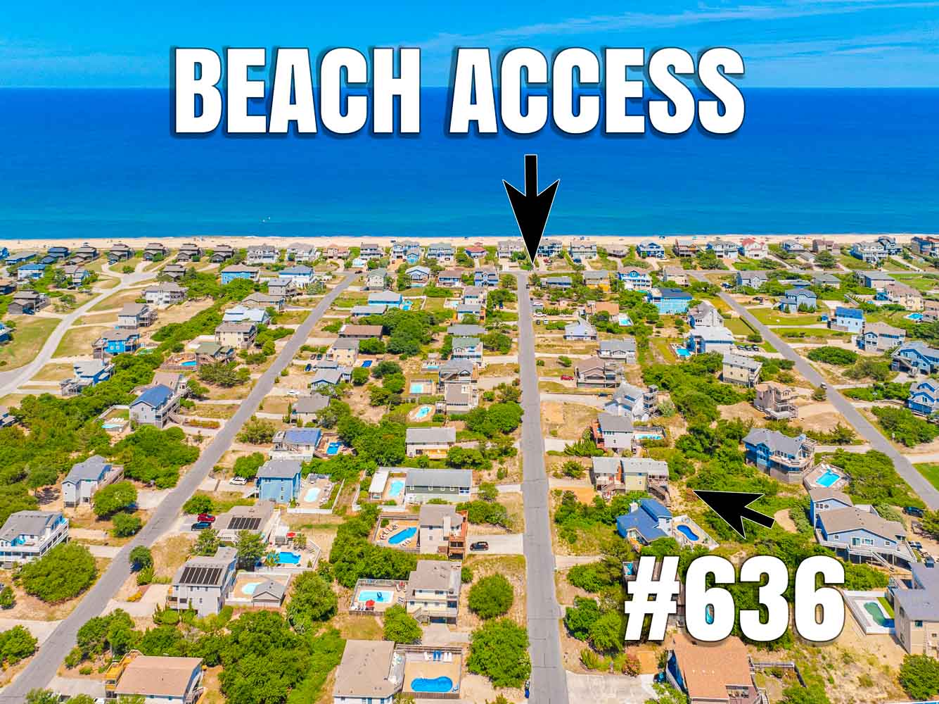 636 | All Duck'd Out 3