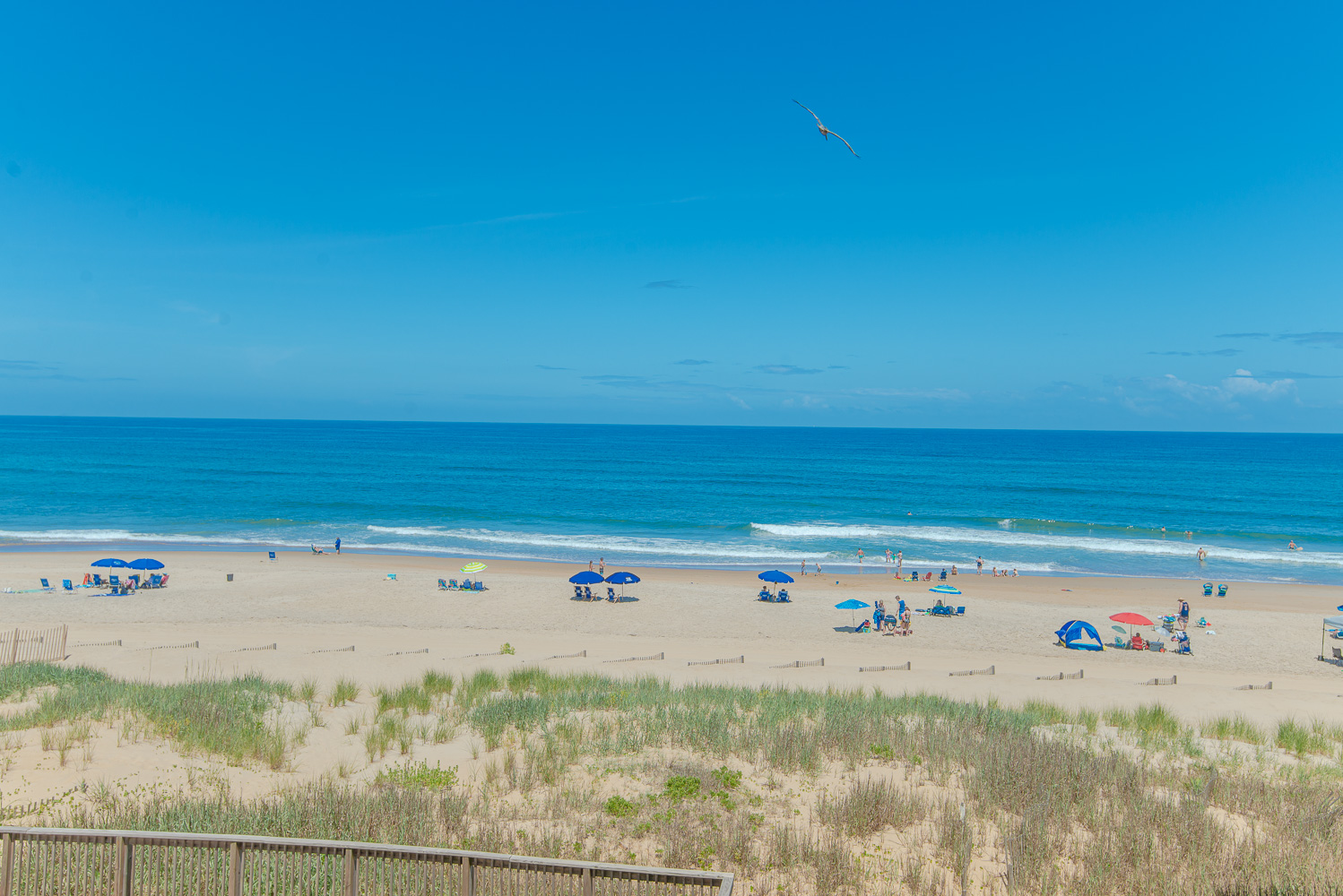 Y-304 | The Yachtsman 3