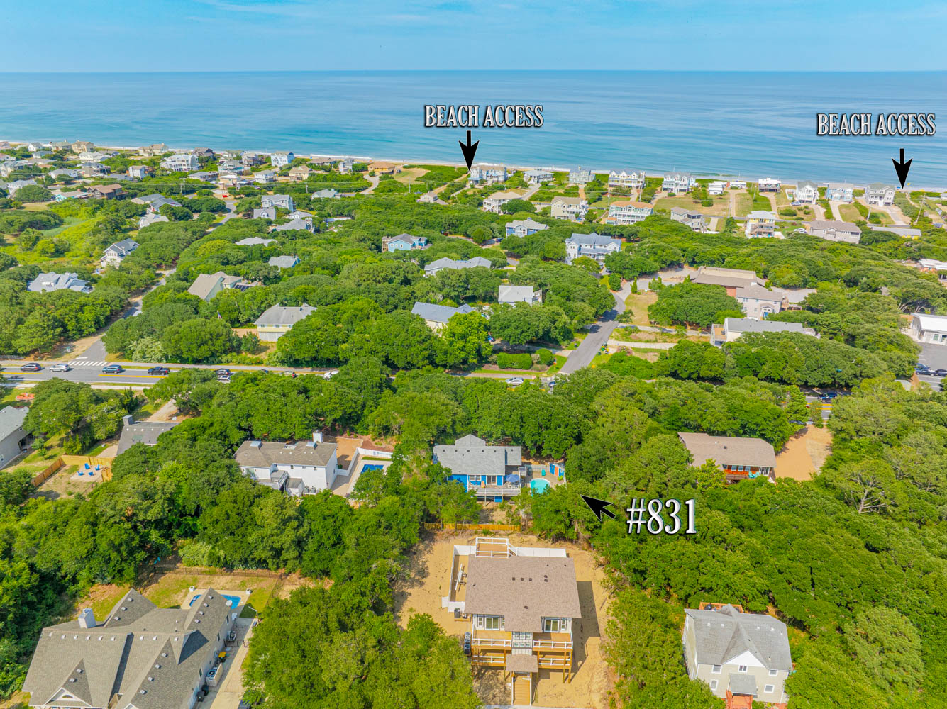 831 | Lion At The Shores 2