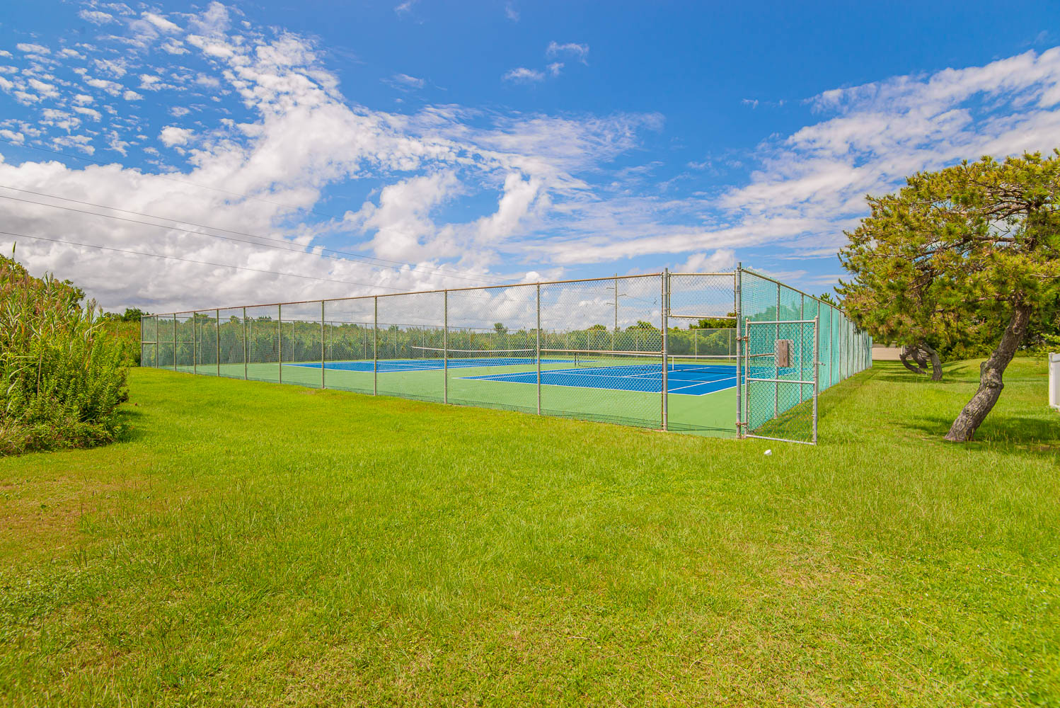 659 | The Swell House 10