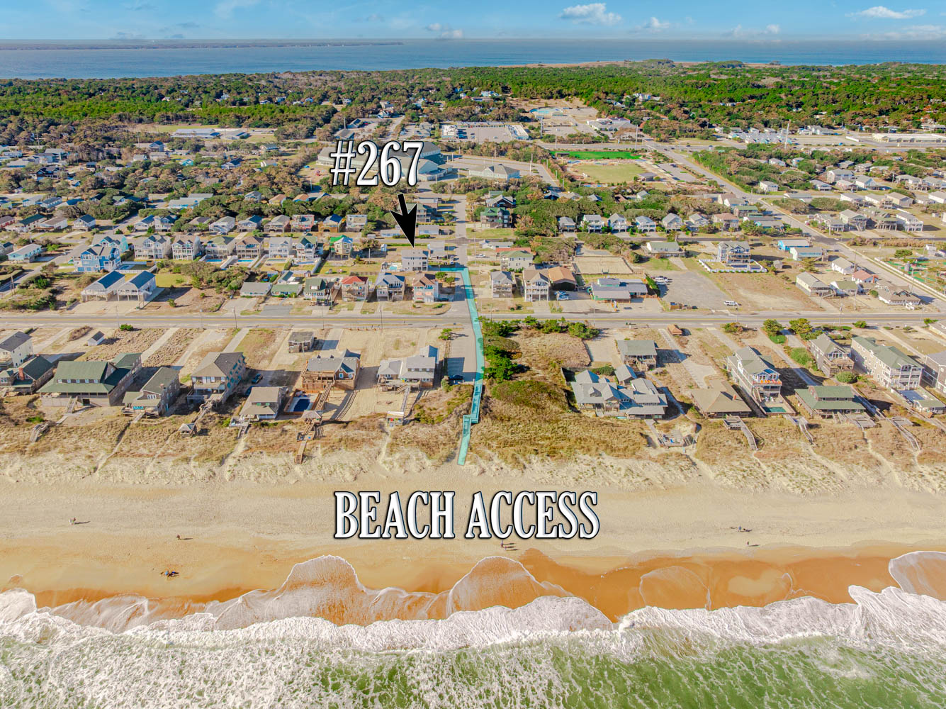 267 | Timeless Treasures 3