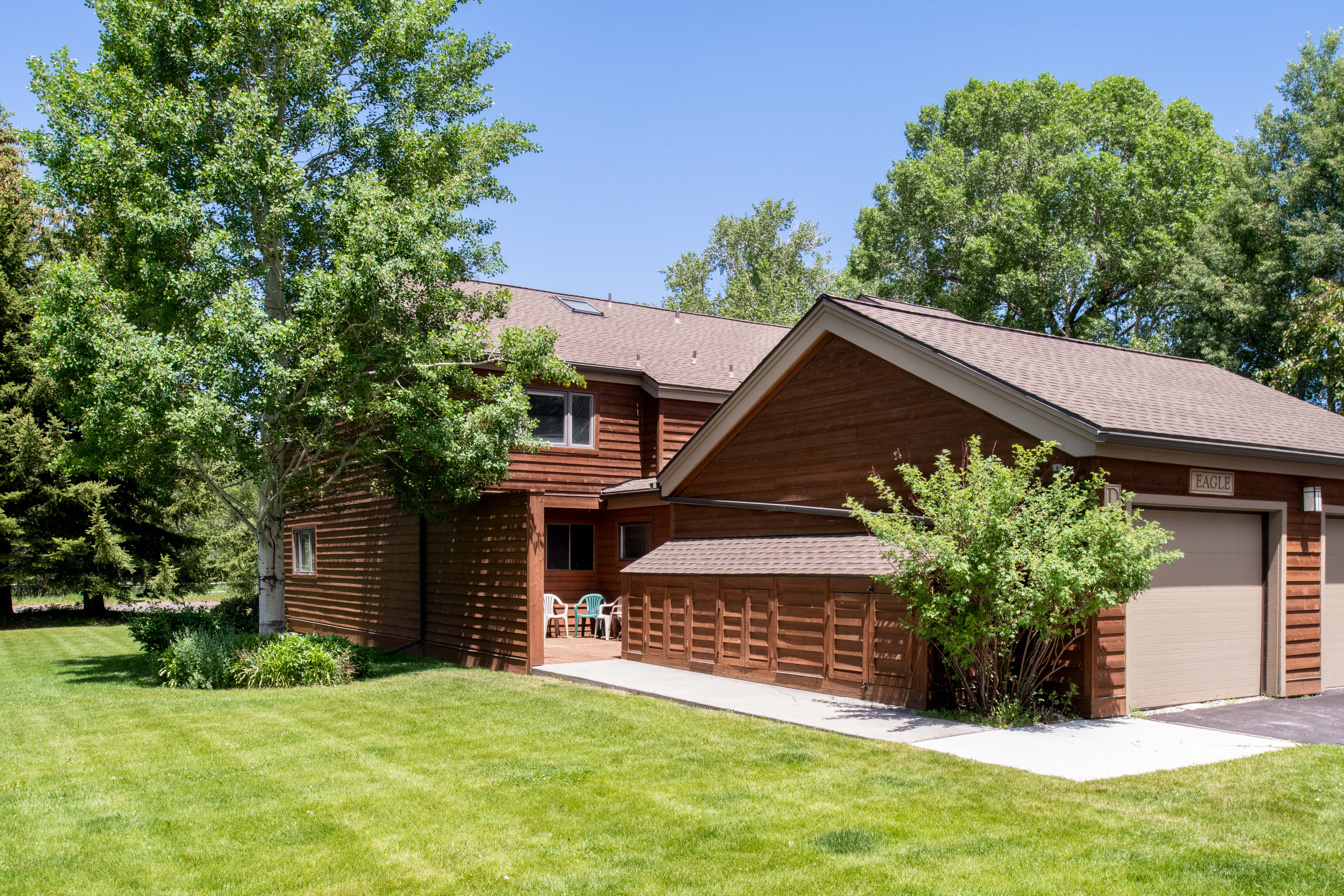 Teton Shadows Eagle D