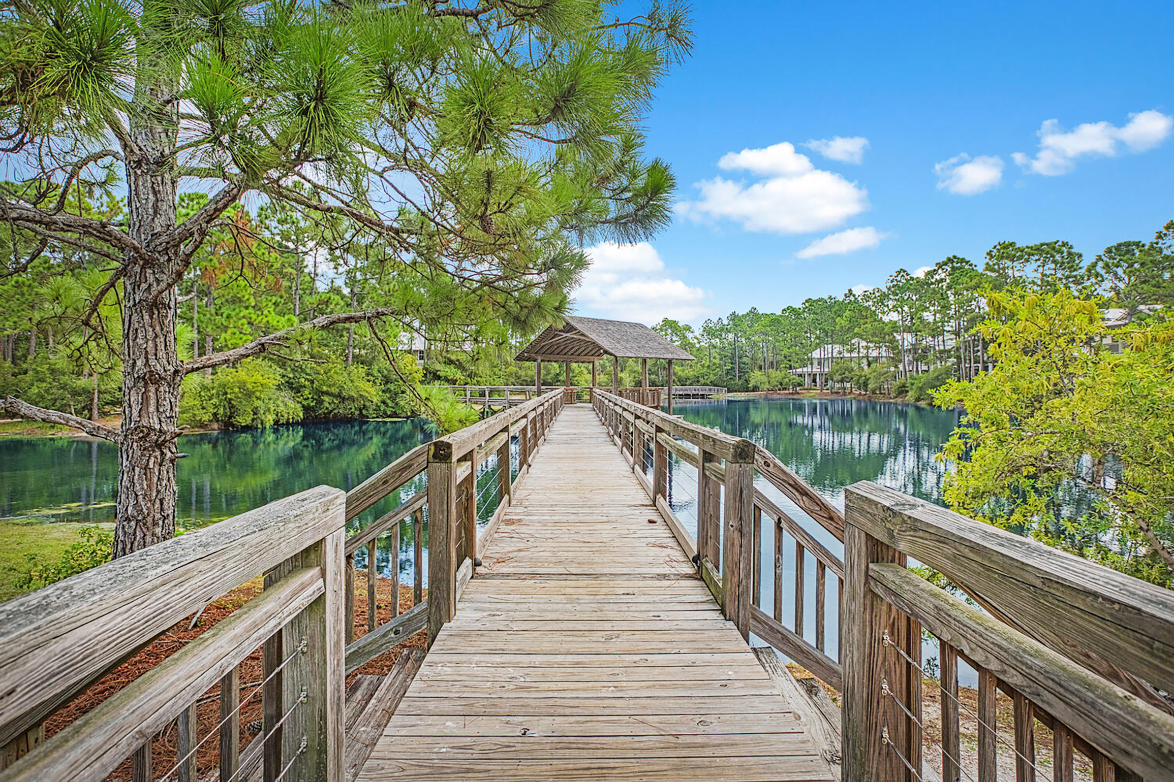 Go for a walk on the boardwalk over the lake