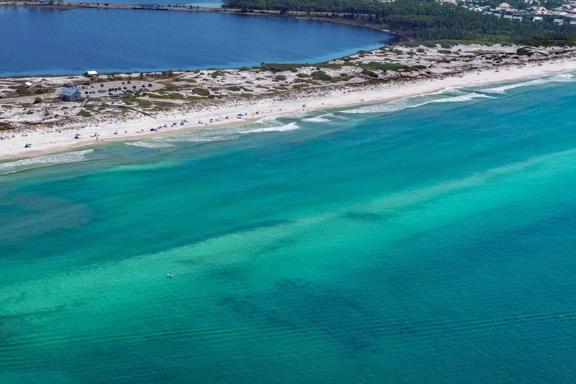 Sea Turtle Reef-Grayton Beach State Park 