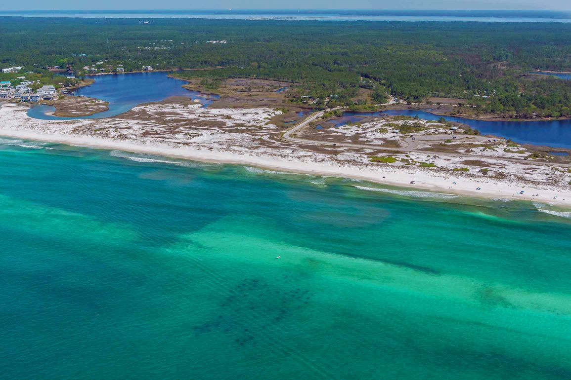 Sea Turtle Reef Grayton Beach State Park