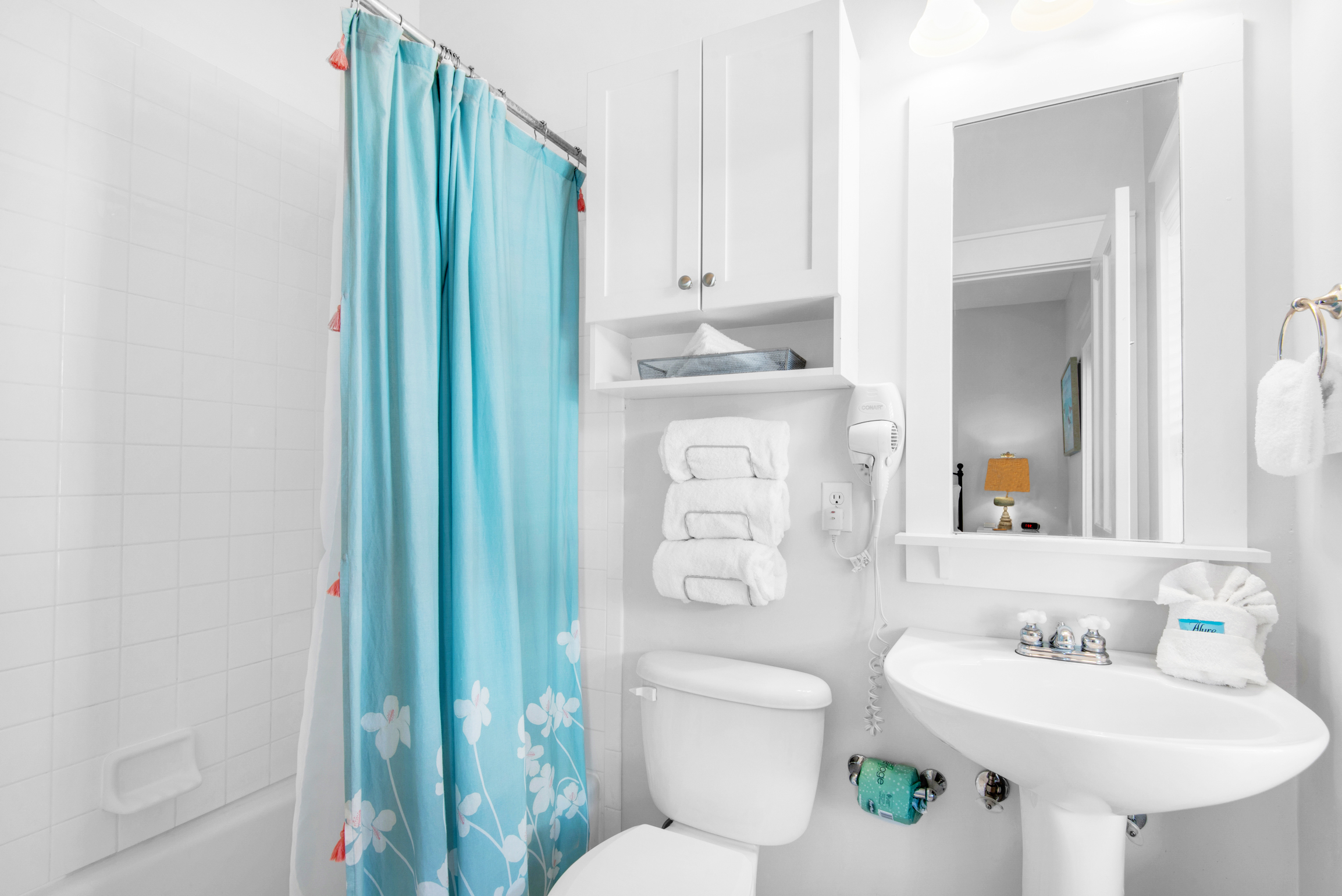 Guest bathroom