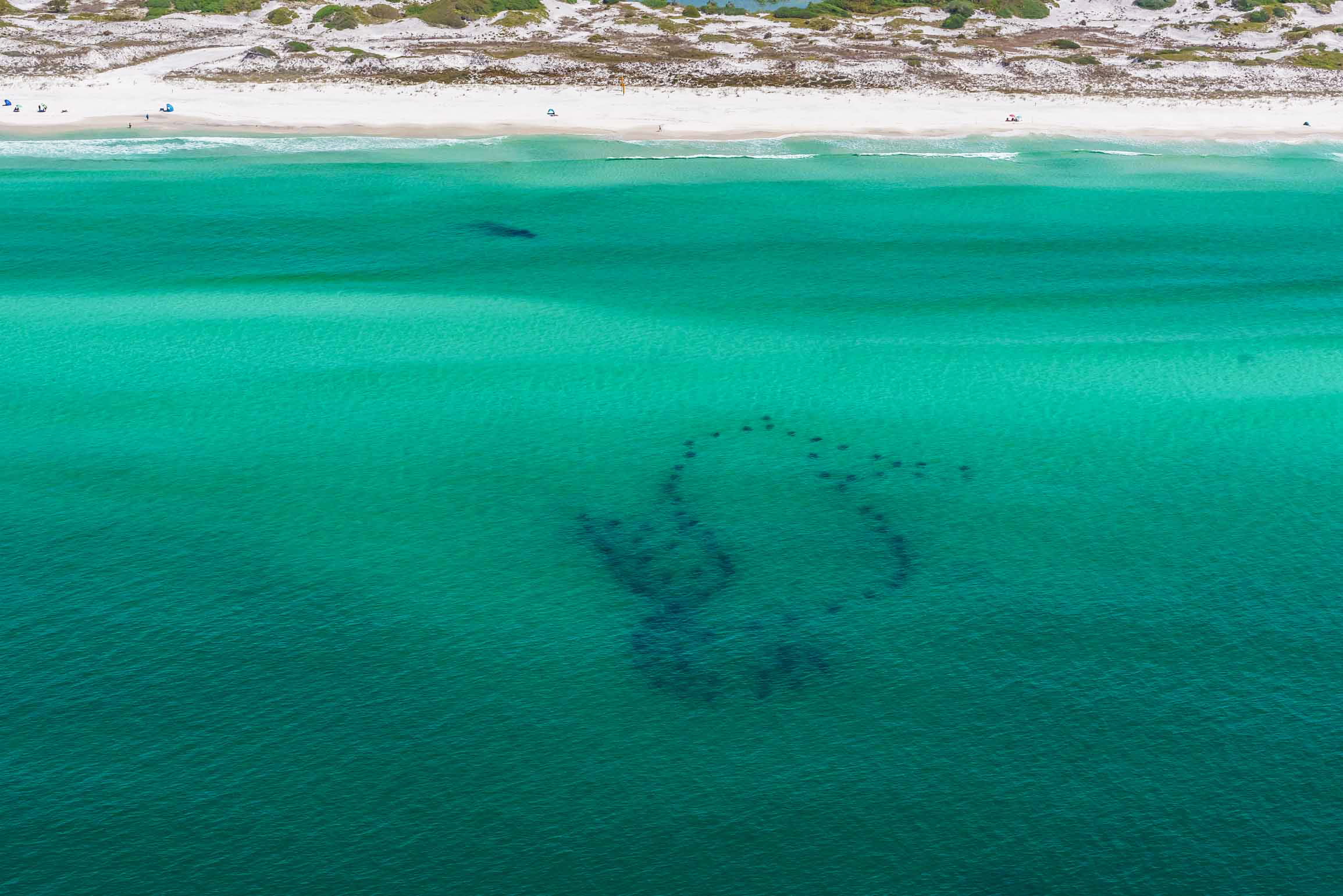 Seahorse Reef Topsail Hill Preserve State Park